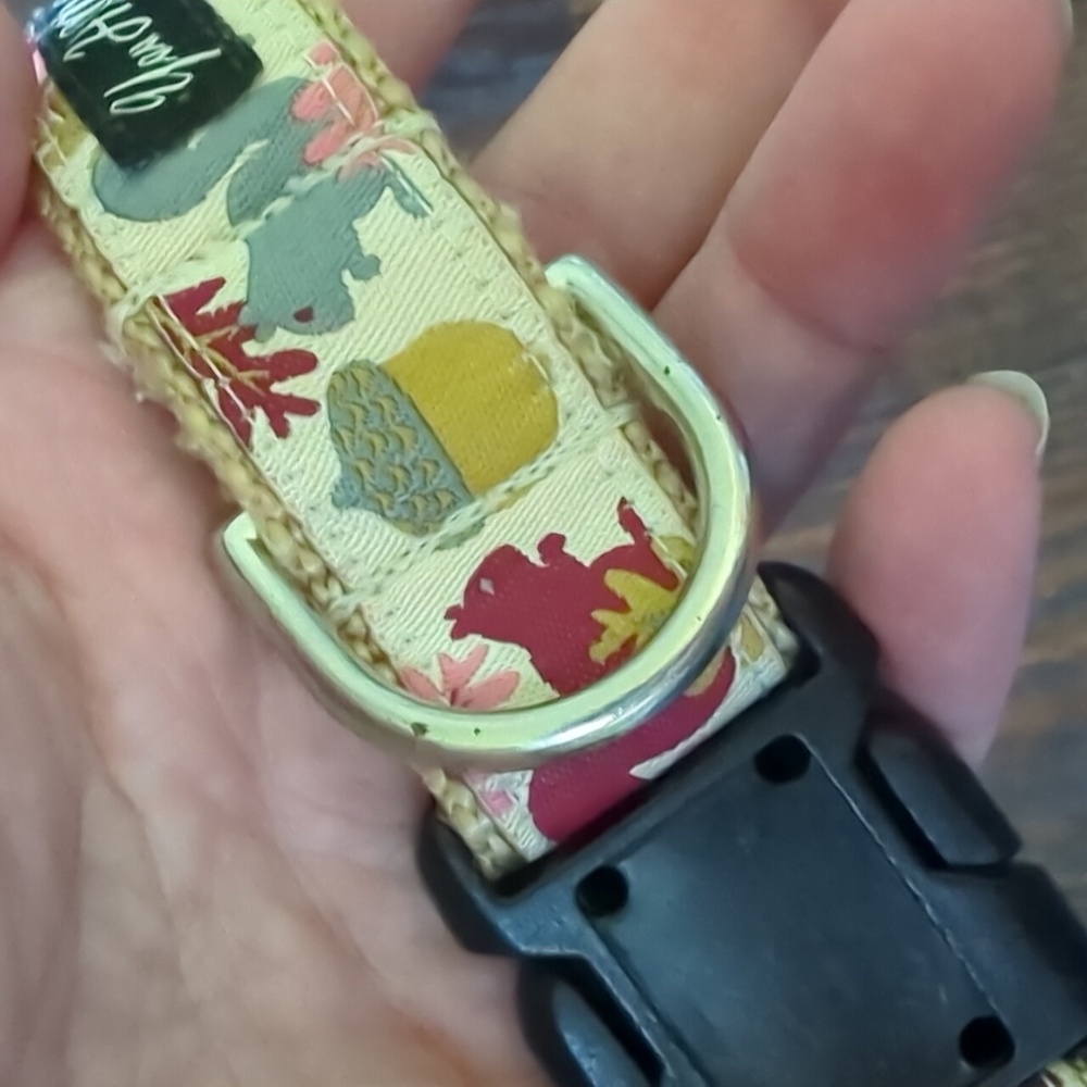 YOU HAD ME AT WOOF I Fall Autumn Squirrel Themed Dog Leash and Collar from Etsy - Picture 6 of 11